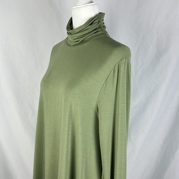 Soft Surroundings Trapeze Timely Turtleneck Green Tunic Top Womens Size L Whimsy - Picture 3 of 14